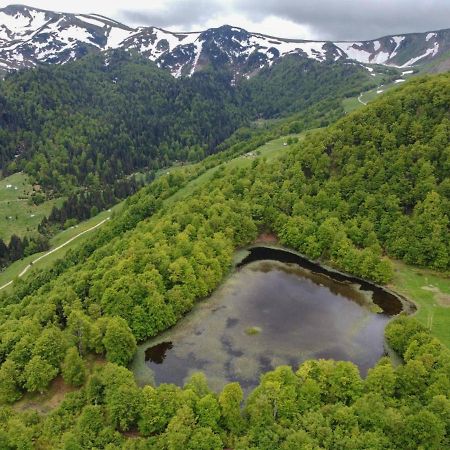 贝拉内Rakovic Katun - Biogradska Gora Accomodation别墅 外观 照片