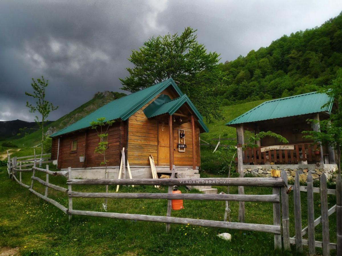 贝拉内Rakovic Katun - Biogradska Gora Accomodation别墅 外观 照片