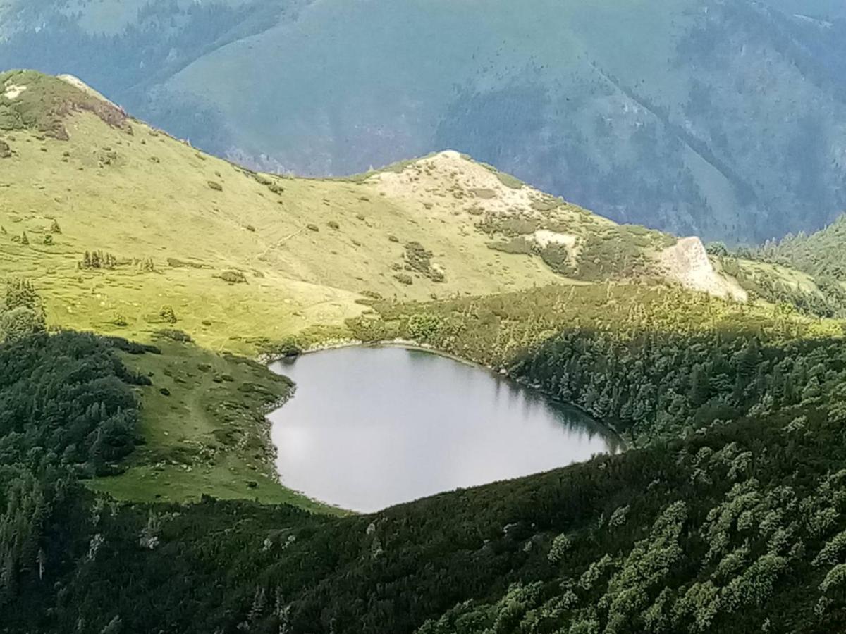 贝拉内Rakovic Katun - Biogradska Gora Accomodation别墅 外观 照片