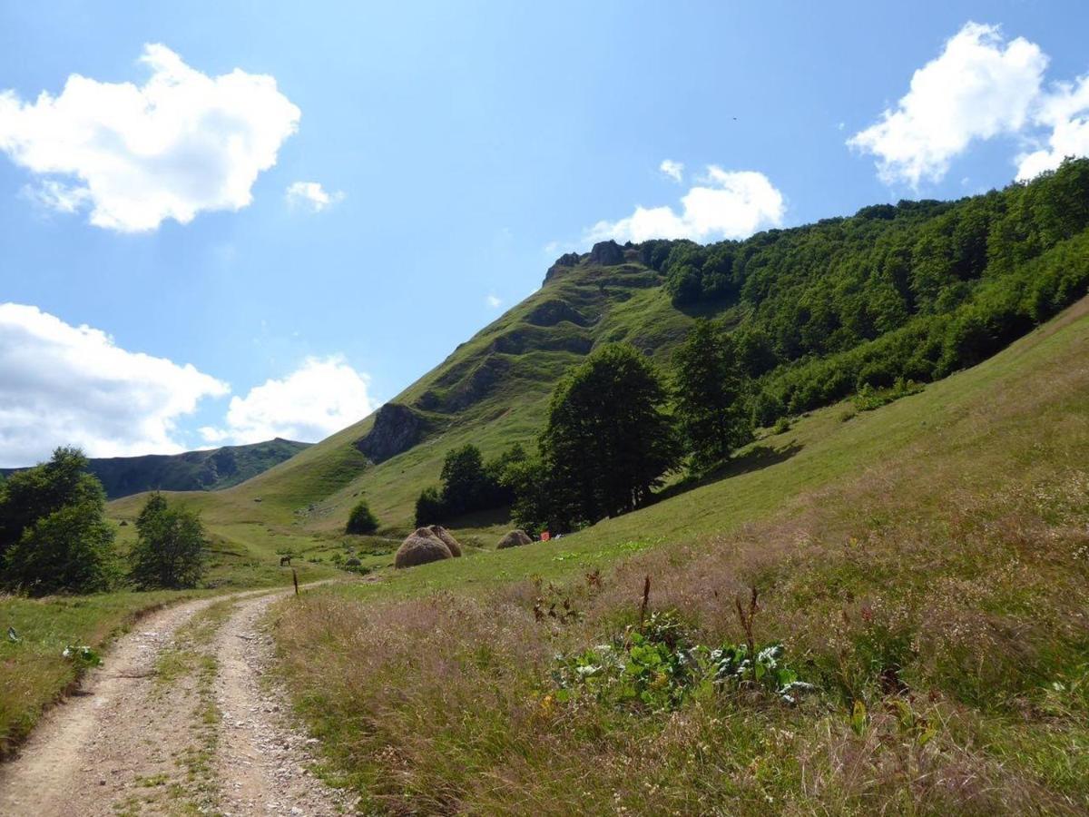 贝拉内Rakovic Katun - Biogradska Gora Accomodation别墅 外观 照片