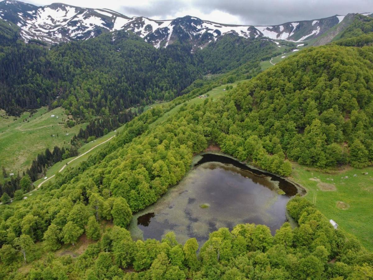 贝拉内Rakovic Katun - Biogradska Gora Accomodation别墅 外观 照片